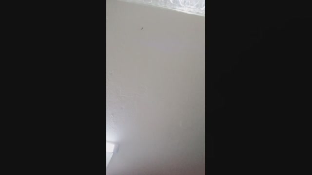 sweet_scarlett_  02-06-2022